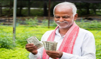 পরিত্যক্ত জলাজমিই এখন টাকার খনি! মাখানা চাষে বছরে লাখ লাখ আয়ের বাম্পার সুযোগ