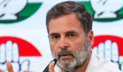 রাহুল গান্ধীর অঢেল সম্পত্তির উৎস কী? ইডি-সিবিআই-কে তলব করল হাইকোর্ট!