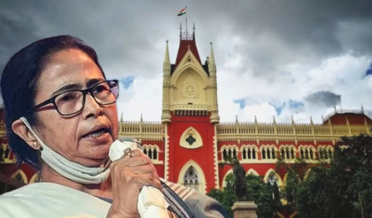 আইনজীবীর পোশাকে হাইকোর্টে মমতা! এজলাসেই জুটল চরম কটাক্ষ, তুললেন বিস্ফোরক অভিযোগ