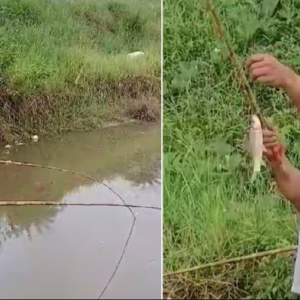 বিজেপির দখলে খাসমহলের ভেরি! সাতসকালে মাছ ধরলেন দিলীপ ঘোষ, শোরগোল বিধাননগরে বিজেপির দখলে খাসমহলের ভেরি! সাতসকালে মাছ ধরলেন দিলীপ ঘোষ, শোরগোল বিধাননগরে