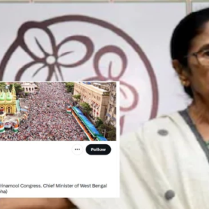 হারলেও দমে নেই মমতা! সোশ্যাল মিডিয়ায় বড় চমক দিয়ে কীসের ইঙ্গিত দিলেন দিদি?
