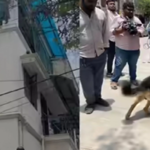 জুবিলি হিলসে প্রাক্তন IPS অফিসারের স্ত্রীকে নৃশংস হত্যা, নেপালি পরিচারকের খোঁজে তোলপাড় হায়দরাবাদ!