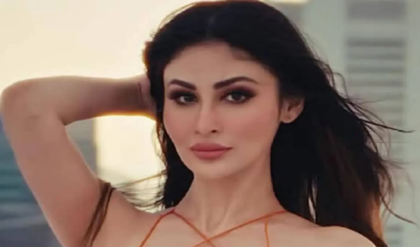 বিচ্ছেদের আগুনেই কি পুড়ছে মৌনীর সংসার? বিয়ের জন্য কেন ‘মরিয়া’ ছিলেন অভিনেত্রী!