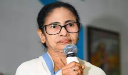 বাচ্চাদের বায়না মেটান ঘরোয়া স্বাদে! বিনা মেশিনে তৈরি করুন ম্যাঙ্গো ও চকোলেট আইসক্রিম