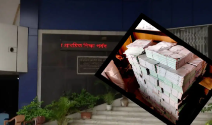পর্ষদ অফিস নাকি তৃণমূলের পার্টি অফিস? প্রাথমিক শিক্ষা পর্ষদের ভেতর থেকে উদ্ধার হাজার হাজার দলীয় ফর্ম!
