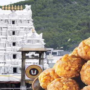 তিরুপতি লাড্ডুর আকাশছোঁয়া চাহিদা, প্রতি মিনিটে তৈরি হচ্ছে হাজার হাজার লাড্ডু, টিটিডি-র নতুন চমক!