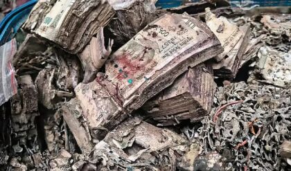 সুরেন্দ্রনাথ কলেজে অস্ত্রকাণ্ড, দেবাশিস ঘনিষ্ঠ ভেন্ডারকে পাকড়াও করল গুন্ডাদমন শাখা