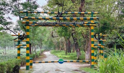 বর্ষায় ডুয়ার্সে পর্যটকদের জন্য সুখবর! দীর্ঘ ৩ বছর পর খুলছে মেদলা ওয়াচ টাওয়ার বর্ষায় ডুয়ার্সে পর্যটকদের জন্য সুখবর! দীর্ঘ ৩ বছর পর খুলছে মেদলা ওয়াচ টাওয়ার