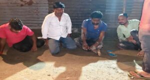সিতাইয়ে বিজেপি প্রার্থীর বাড়ি ঘিরে গভীর রাতে গুলির ছক! ৪ গ্রেফতার, নেপথ্যে বিধায়ক বিতর্ক?