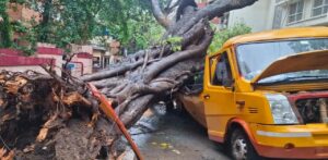মুম্বাইয়ে ভয়াবহ দুর্ঘটনা: স্কুল বাসের ওপর আছড়ে পড়ল বিশাল গাছ, মৃত ১০ বছরের ছাত্র