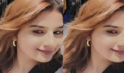 রাতে তাঁবু থেকে বেরোলেন, আর ফিরলেন না! কীভাবে রহস্যজনকভাবে নিখোঁজ এমবিএ ছাত্রী?