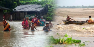 ভুটান থেকে নেমে আসা বন্যায় ভাসল আলিপুরদুয়ার! চোখের সামনেই শেষ চাষের জমি, নিঃস্ব বাসিন্দারা