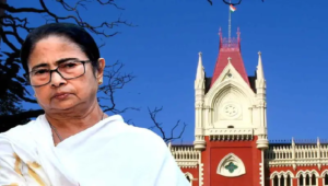 তৃণমূলের ৪৪০ কোটির অ্যাকাউন্ট ফ্রিজ! জরুরি শুনানির আর্জি খারিজ হাইকোর্টে, কী করবে দল?