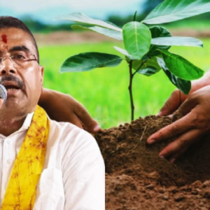 মায়ের নামে চারাগাছ! রাজ্যে ১ কোটি ১০ লক্ষ গাছ লাগানোর ঐতিহাসিক লক্ষ্যমাত্রা নিলেন মুখ্যমন্ত্রী