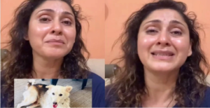 লোহার রড দিয়ে পিটিয়ে নৃশংস হত্যা! নিরীহ ‘মাইকি’-র করুণ পরিণতিতে কান্নায় ভেঙে পড়লেন অভিনেত্রী