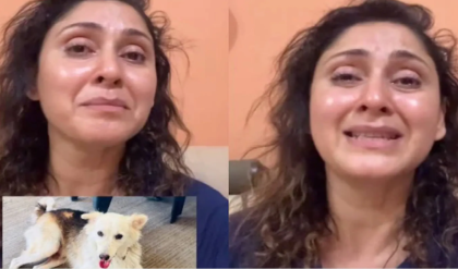 লোহার রড দিয়ে পিটিয়ে নৃশংস হত্যা! নিরীহ ‘মাইকি’-র করুণ পরিণতিতে কান্নায় ভেঙে পড়লেন অভিনেত্রী লোহার রড দিয়ে পিটিয়ে নৃশংস হত্যা! নিরীহ ‘মাইকি’-র করুণ পরিণতিতে কান্নায় ভেঙে পড়লেন অভিনেত্রী