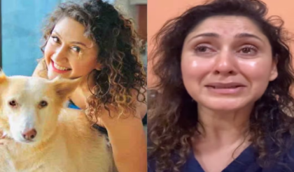 লোহার রড দিয়ে পিটিয়ে হত্যা! অবলা সারমেয় ‘মাইকি’র মর্মান্তিক মৃত্যুতে ডুকরে কাঁদলেন অভিনেত্রী মঞ্জরী ফডণীস লোহার রড দিয়ে পিটিয়ে হত্যা! অবলা সারমেয় ‘মাইকি’র মর্মান্তিক মৃত্যুতে ডুকরে কাঁদলেন অভিনেত্রী মঞ্জরী ফডণীস