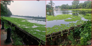 ফিরবে স্বচ্ছ নীল জল! রবীন্দ্র সরোবরকে বাঁচাতে বড় উদ্যোগ KMDA-র, পরিকল্পনায় ‘সাকশন কাটার ড্রেজিং’