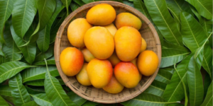 ভারতের ল্যাংড়া-হিমসাগর নয়, বিশ্বের সবচেয়ে মিষ্টি আম কোনটি জানেন? গিনেস রেকর্ডে নাম থাকা সেই ফলের খোঁজ!