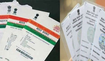 নামখানার চায়ের দোকানে সরকারি নথির স্তূপ! আধার-ভোটার কার্ডের এমন জোগান দেখে হতবাক প্রশাসন