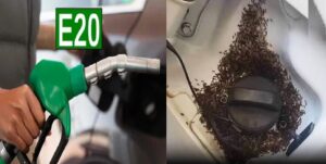 E20-পেট্রোল কি পিঁপড়ে টানে? সোশ্যাল মিডিয়ার দাবির জবাবে যা জানাল সংস্থা