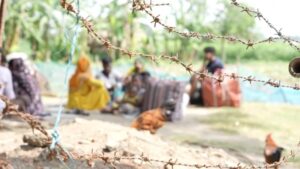 “BSF তাড়াচ্ছে, BGB-ও তাড়াচ্ছে”-কাঁটাতারের মাঝে আটকে ‘বিপাকে’ বাংলাদেশী