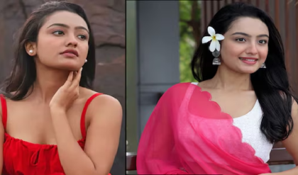 ‘সুশান্তের মতো পরিণতি!’ অভিনেত্রীর মৃত্যুর পর ভাইয়ের বিস্ফোরক দাবিতে তোলপাড় বিনোদন জগত