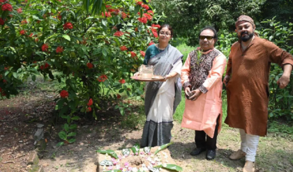 ‘রক্তকরবী’র শতবর্ষে অভিনব উদ্যোগ! মোহর বীথিকা প্রাঙ্গণে বৃক্ষরোপণ করলেন গ্র্যামি জুরি পণ্ডিত প্রদ্যুৎ মুখোপাধ্যায়