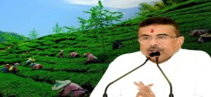 উত্তরবঙ্গবাসীর জন্য বড় চমক বাজেটে! চা-শিল্পে নজিরবিহীন সংস্কার, শিলিগুড়িতে মেট্রো রেলের ঘোষণা!
