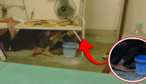 বারুইপুরকাণ্ডে চাঞ্চল্যকর মোড়! হাসপাতালের খাটের নিচ থেকে ধৃত ৩, মূল অভিযুক্ত-সহ জালে ৫