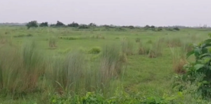 বন্ধ তালা খুলবে কি কাটোয়ায়? বহু প্রতীক্ষিত বিদ্যুৎ প্রকল্প নিয়ে বড় আশ্বাস দিলেন মন্ত্রী!