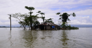 জলে ডুবল হাজার হাজার গ্রাম! অসমে প্রলয়ঙ্করী বন্যায় সাহায্যের হাত বাড়িয়ে দিলেন সলমন-আলিয়া