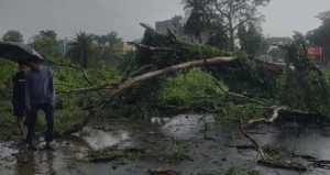 পাহাড় ভেঙে গুঁড়িয়ে গেল গাড়ি! একটানা বৃষ্টিতে বদ্রীনাথ হাইওয়ে বন্ধ হওয়ায় ত্রাহি ত্রাহি রব!