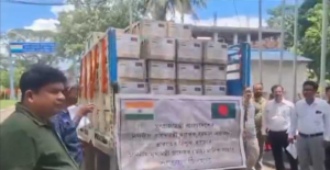 আমের পর এবার আনারসের কদর! আখাউড়া সীমান্ত দিয়ে বাংলাদেশে ঢুকল ত্রিপুরার ৬০০ বিশেষ ফল