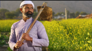 পিএম কিষাণ যোজনার ২৪তম কিস্তির বড় আপডেট! অক্টোবর মাসে কৃষকদের অ্যাকাউন্টে আসবে টাকা?