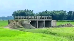 নেই রাস্তা, নেই নদী! সরকারি অবহেলায় লাখ লাখ টাকা খরচ করে তৈরি সেতু এখন শুধুই শো-পিস