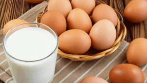 দুধ না ডিম—কোনটিতে রয়েছে বেশি প্রোটিন? পুষ্টিবিদদের এই চাঞ্চল্যকর তথ্য জানলে আজই বদলাবেন আপনার ডায়েট!