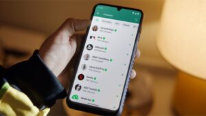 WhatsApp-এর নতুন ইউজারনেম ফিচারে নজরদারি কেন্দ্রের! মেটাকে বাড়তি সময় দিল সরকার
