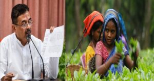 ‘প্রধানমন্ত্রী চা শ্রমিক উৎসাহ যোজনা’ চালু, জেনেনিন এরফলে কার কী লাভ হবে?