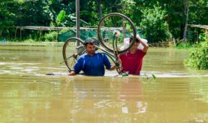 কোথাও ভেসে গেছে গ্রাম, কোথাও জলের তলায় হাজার হাজার হেক্টর জমি! ভয়াবহ রূপ নিয়েছে অসমের বন্যা