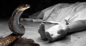 হানিমুনে খুন নয়, বিছানায় সাপ ছেড়ে স্বামী নিধন! প্রেমিকের হাত ধরে যে নৃশংস ছক সাজালেন স্ত্রী