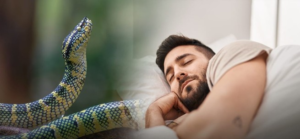 শ্রাবণে স্বপ্নে সাপ দেখা কি মহাদেবের ইঙ্গিত? জানুন কী বলছে স্বপ্নশাস্ত্র!