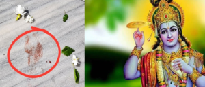 মরা বকুল গাছের বেদীতে হঠাৎ কার পায়ের ছাপ! বিষ্ণুপুরে শ্রীকৃষ্ণের উপস্থিতি দাবিতে উপচে পড়ল ভিড়