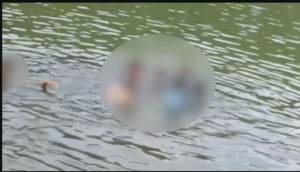 স্বাধীনতা দিবসের অনুষ্ঠানে তুলকালাম! ছাত্রীদের নিয়ে বাঁধের জলে অধ্যক্ষের ‘নগ্ন স্নান’, চরম পদক্ষেপ প্রশাসনের