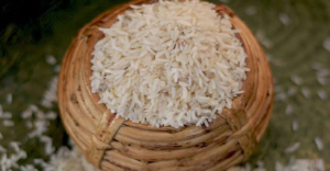 বিশ্ব বাজারে ঝড় তুলতে আসছে বাংলার তুলাইপাঞ্জি ও গোবিন্দভোগ চাল! বিরাট পদক্ষেপে বড় বিনিয়োগ KRBL-এর