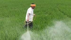 প্রাকৃতিক দুর্যোগে সর্বস্বান্ত হওয়ার ভয় শেষ! ধামতুরির কৃষকদের মাঝে রেকর্ড গড়ে আশীর্বাদ হয়ে উঠল প্রধানমন্ত্রী ফসল বিমা যোজনা