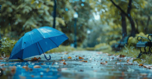 বর্ষায় ঘরের কোন ৫টি জিনিস ডেকে আনছে মারাত্মক রোগ? অজান্তেই বড় বিপদ ডেকে আনছেন না তো!