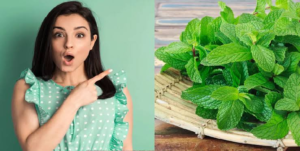 উজ্জ্বল ও দাগহীন ত্বক চান? পুদিনা ব্যবহারের এই গোপন নিয়মটি জানলে চমকে যাবেন!