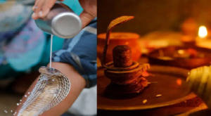শ্রাবণ মাসে সাপেদের দুধ খাওয়ানো কি ভক্তি না মৃত্যু পরোয়ানা? ভাইরাল সচক্ষে জানুন আসল সত্যি!
