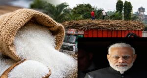চিনির দাম এক লাফে ৫৫ টাকা! ইথানল উৎপাদনই কি আসল কারণ? মুখ খুলল কেন্দ্র
